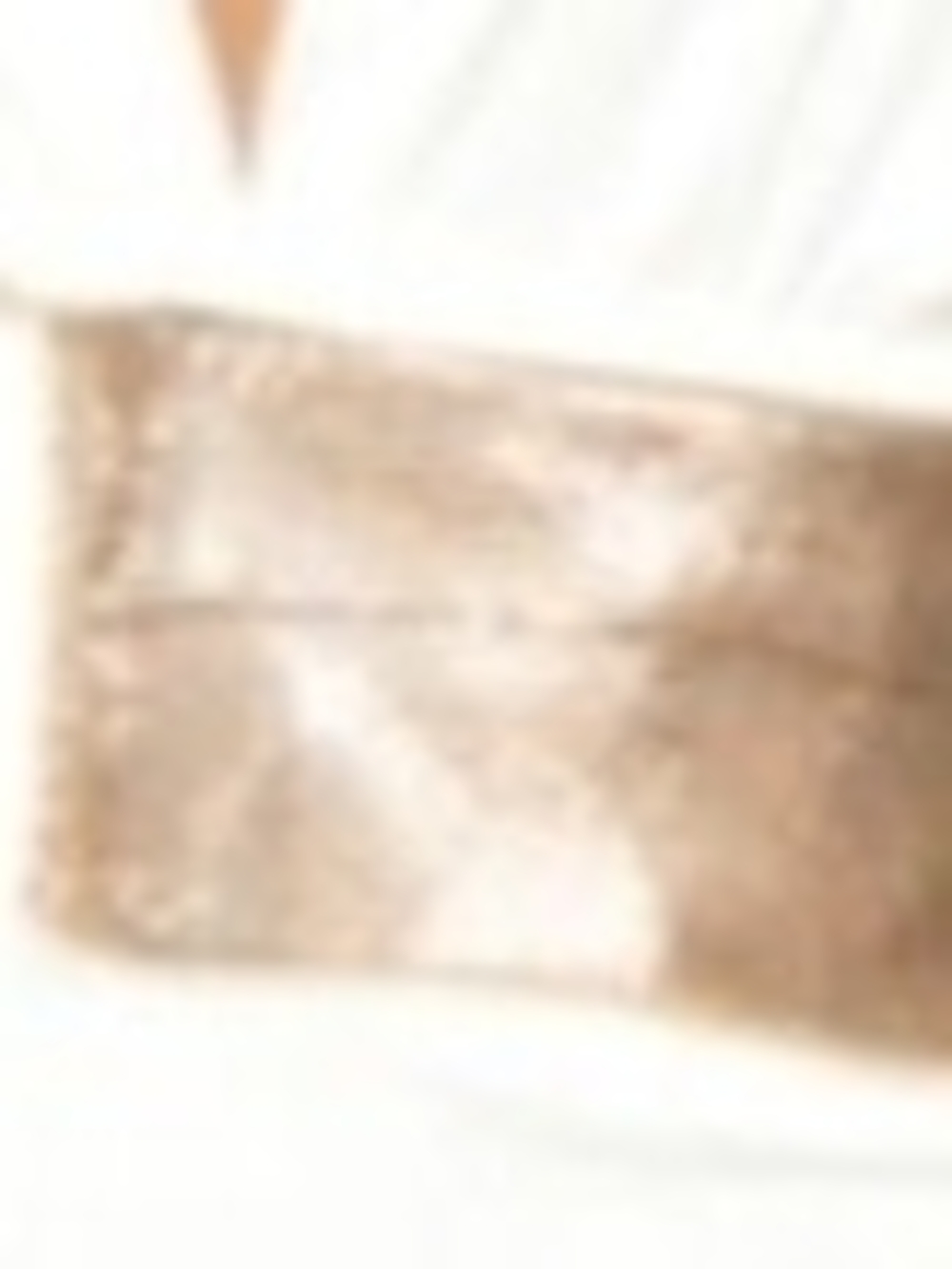 Gold Shimmery Fanny Pack